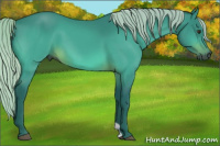 Horse Color:Gray Watercolor Silver Brown 