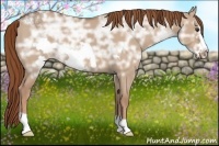 Horse Color:Red Dun Ice Roan Frame