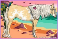 Horse Color:Palomino Frame 