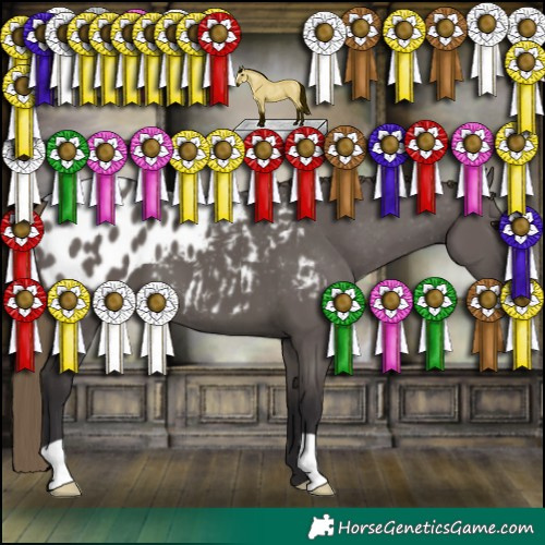 Horse Color:Smoky Grullo Blanket 
