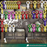 Horse Color:Smoky Grullo Blanket 