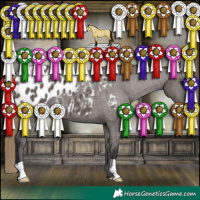 Horse Color:Smoky Grullo Appaloosa