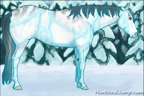 Horse Color:Thunderstruck White Spotted Brown Chinchilla Near Leopard Rabicano