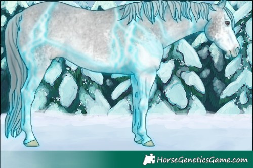 Horse Color:Thunderstruck White Spotted Brown Chinchilla Appaloosa Rabicano 