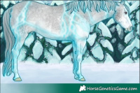 Horse Color:Thunderstruck White Spotted Brown Chinchilla Appaloosa Rabicano 