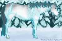 Horse Color:Thunderstruck White Spotted Brown Chinchilla Appaloosa Rabicano 