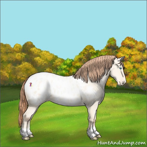 Horse Color:Classic Cream Champagne Pearl Dun Appaloosa 