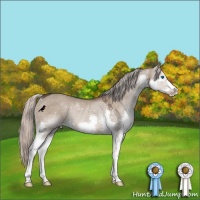 Horse Color:Silver Grullo Splash Rabicano 
