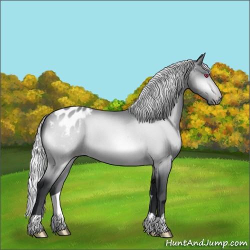 Horse Color:Silver Brown Chinchilla Appaloosa 