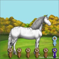 Horse Color:Silver Brown Chinchilla Onyx Frame Appaloosa 