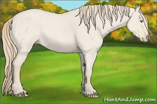 Horse Color:Smoky Creme Roan Dun 