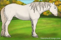 Horse Color:Smoky Creme Roan Dun 