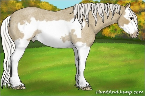 Horse Color:Silver Smoky Blue Roan Splash Frame Rabicano 