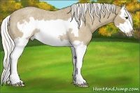 Horse Color:Silver Smoky Blue Roan Splash Frame Rabicano