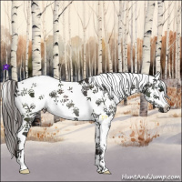 Horse Color:White Spotted Liver Chestnut 