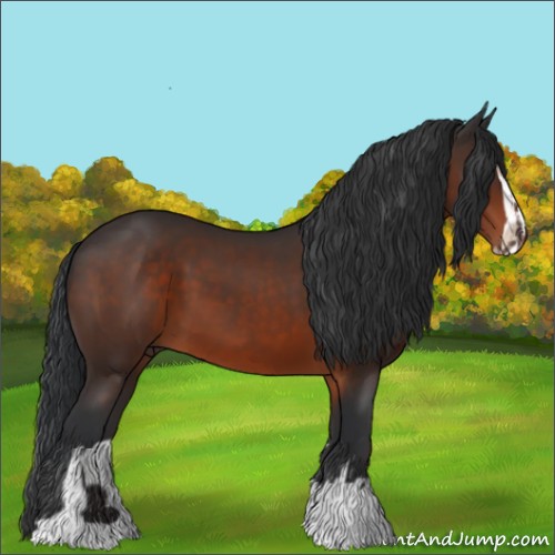 Horse Color:Brown Sabino 