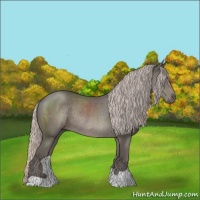 Horse Color:Silver Black Rabicano 