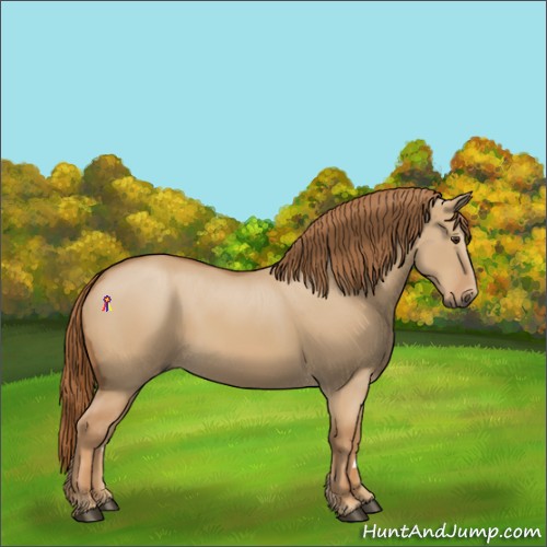 Horse Color:Red Dun 