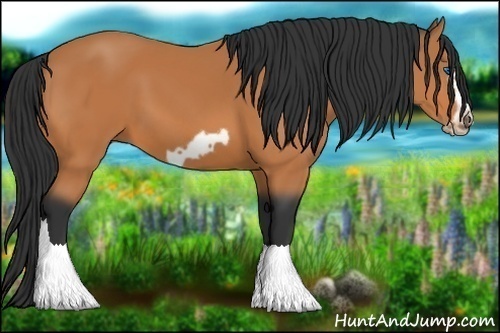 Horse Color:Bay Splash Frame 