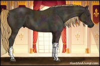 Horse Color:Midnight Chestnut Ice Sabino Tobiano