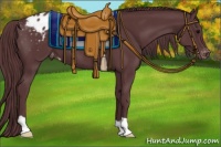 Horse Color:Chocolate Black Appaloosa