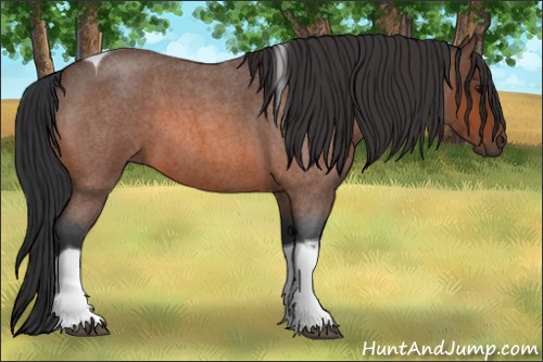 Horse Color:Bay Roan Tobiano 