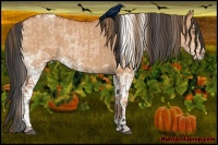 Horse Color:White Spotted Bay Pearl Splash Tobiano  and White Spotted Bay Dun Splash Tobiano 