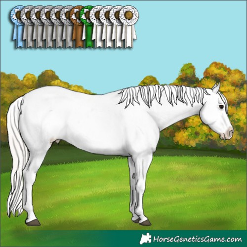 Horse Color:Silver Black Snowcap