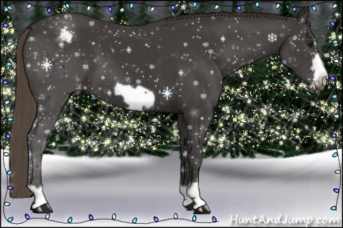 Horse Color:Smoky Black Frame Varnish
