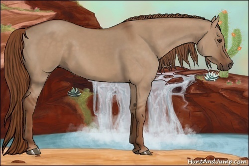 Horse Color:Red Dun 