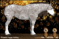 Horse Color:Gray Chestnut Ice Sabino 