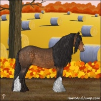 Horse Color:Buckskin Mushroom 