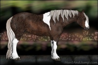 Horse Color:Silver Brown Ice Tobiano