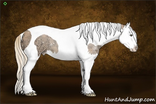 Horse Color:Gold Champagne Ice Splash Tobiano