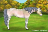 Horse Color:Watercolor Brown Ice Roan Onyx