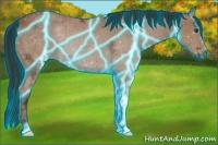 Horse Color:Gray Thunderstruck Bay Ice