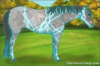 Horse Color:Thunderstruck Liver Red Ice Roan Rabicano 