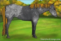 Horse Color:Painted Black Ice 