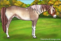 Horse Color:Painted Red Onyx Tobiano 