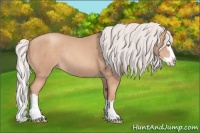 Horse Color:Silver Classic Champagne Splash Rabicano
