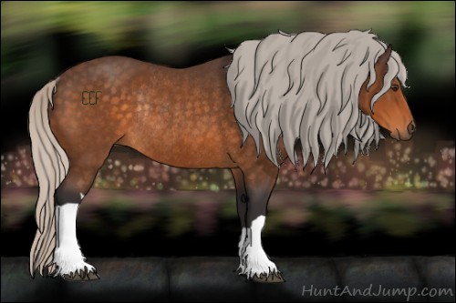 Horse Color:Silver Buckskin Rabicano