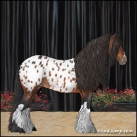 Horse Color:Bay Near Leopard  and Bay Near Leopard 