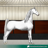 Horse Color:Silver Brown Roan Appaloosa