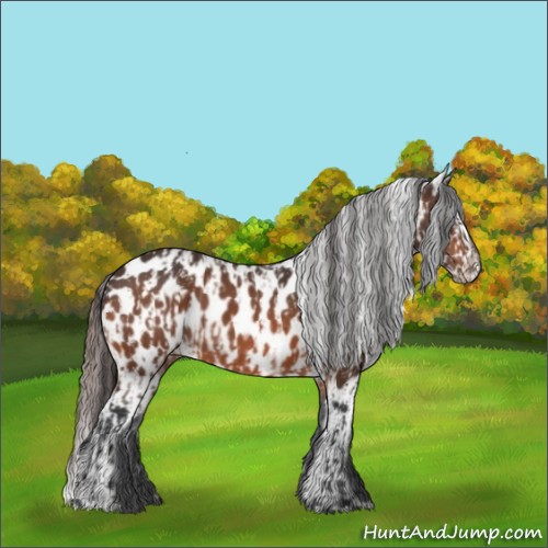 Horse Color:Bay Near Leopard  and Bay Near Leopard 