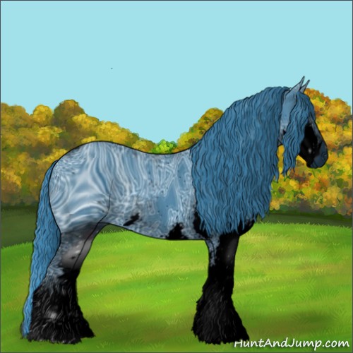Horse Color:ERROR: UNKNOWN ANOMALY