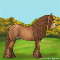 Horse Color:Gray Gold Champagne 