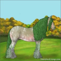 Horse Color:Watercolor Bay Ice 