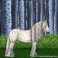 Horse Color:Buckskin Dun Varnish  and Silver Buckskin Dun Varnish 
