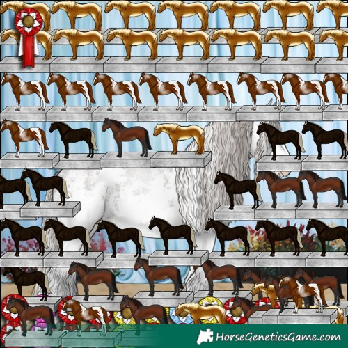 Horse Color:White Spotted Silver Black 