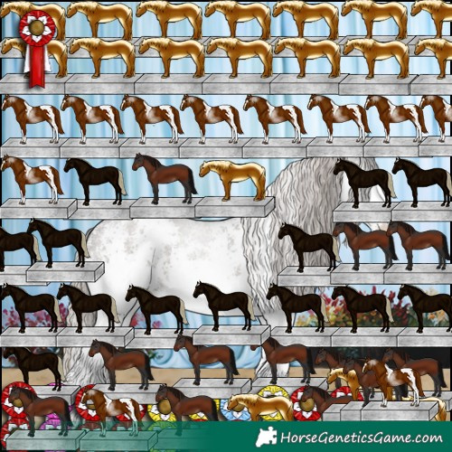 Horse Color:White Spotted Silver Black 